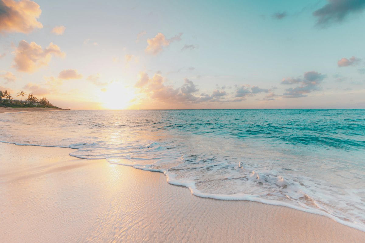 Sunny Florida coastline with palms and gentle ocean waves under clear skies